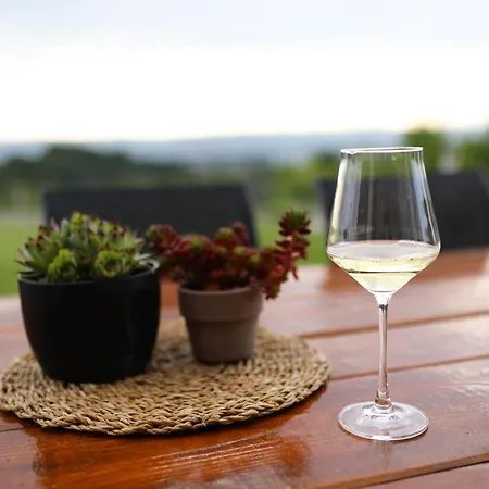 Vila Vikendica Krcmarice- *